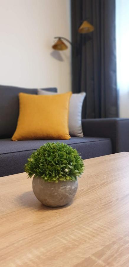 克拉科夫Apartament Barbary公寓 外观 照片